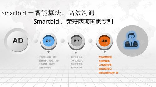 互聯(lián)網(wǎng) 智慧營銷大數(shù)據(jù)平臺建設方案.ppt