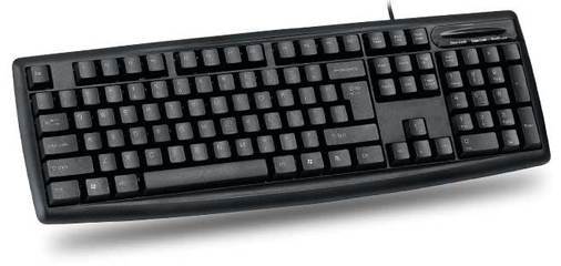 彩虹鳥(niǎo)鍵盤(pán)_網(wǎng)上逛街_遂川網(wǎng)